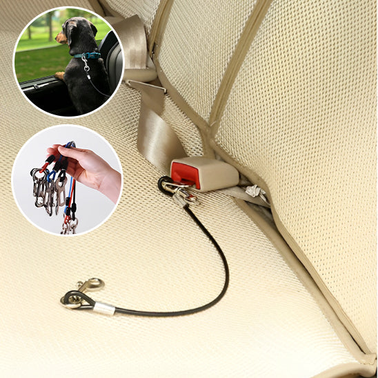 Laisse pour chien-Wire polyvalent