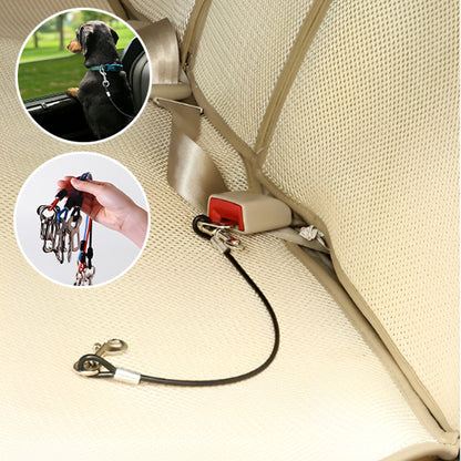 Laisse pour chien-Wire polyvalent