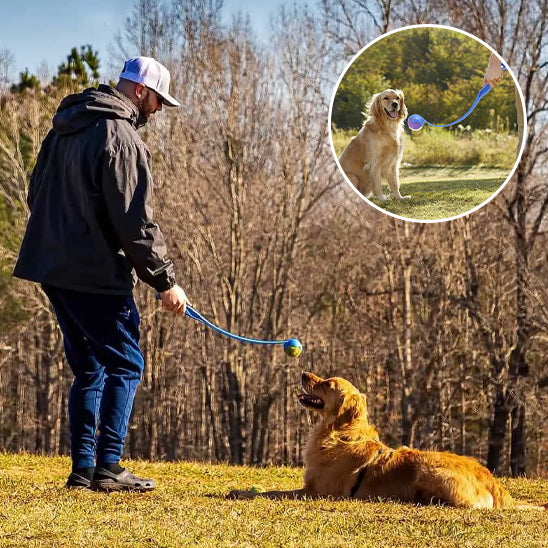 Lanceur de Balle pour chien- Perche flexible