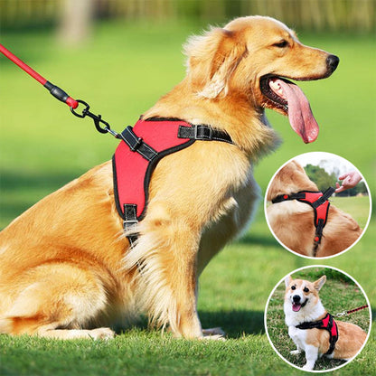 Harnais chien anti traction- Halter de base
