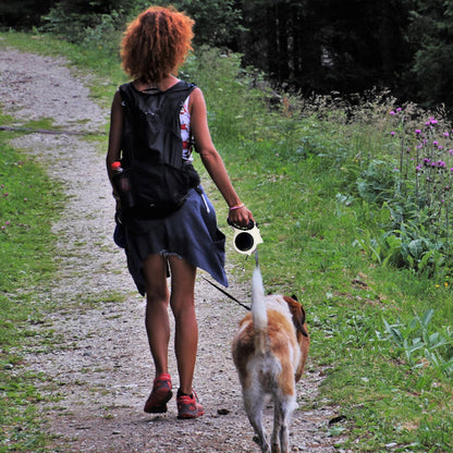 Laisse pour chien-Enroulable Lumineuse
