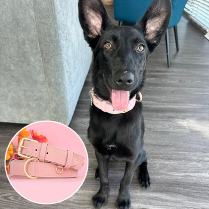 Collier chien cuir - Cuir robuste