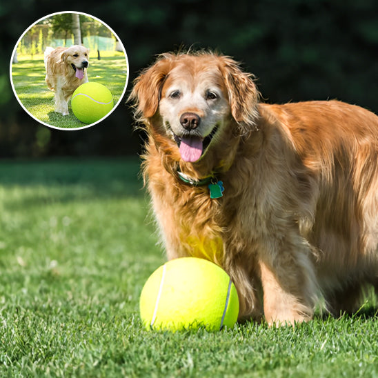 La Balle pour chien- GEANTE