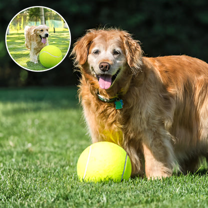La Balle pour chien- GEANTE