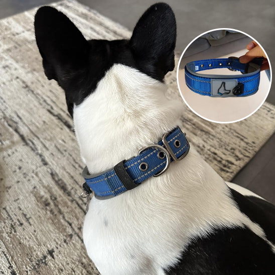 Collier pour chien-Réfléchissant Joytale