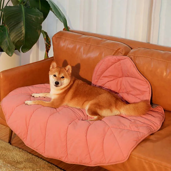 Tapis pour chien-Tropicale feuille