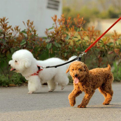 Laisse double pour chien-Rallonge double