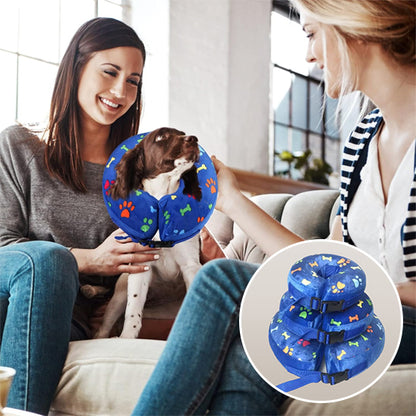 Collerette chien- Beignets protecteur