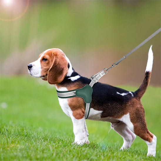 Harnais anti traction chien-Reflex Respirant
