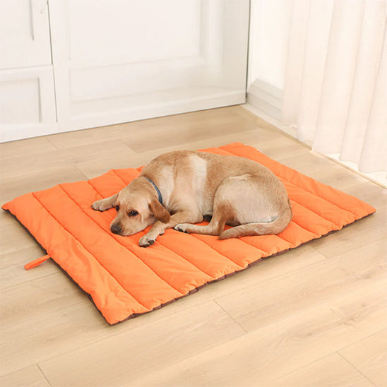 Lit de camp pour chien - Sac de couchage