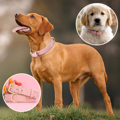 Collier chien cuir - Cuir robuste