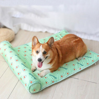 Tapis rafraichissant chien-Cool bed