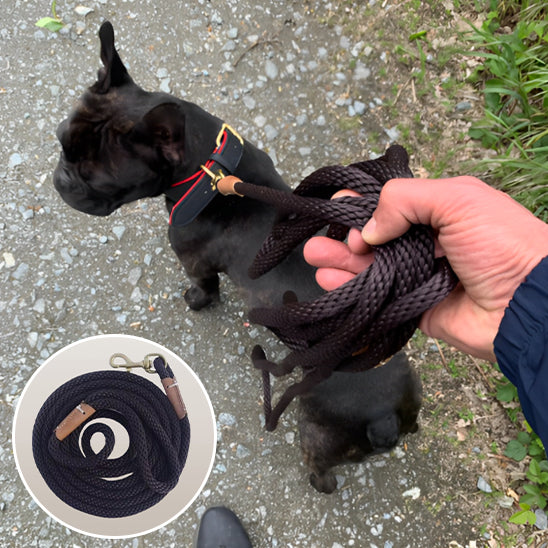 Longe pour chien- Corde entrainement