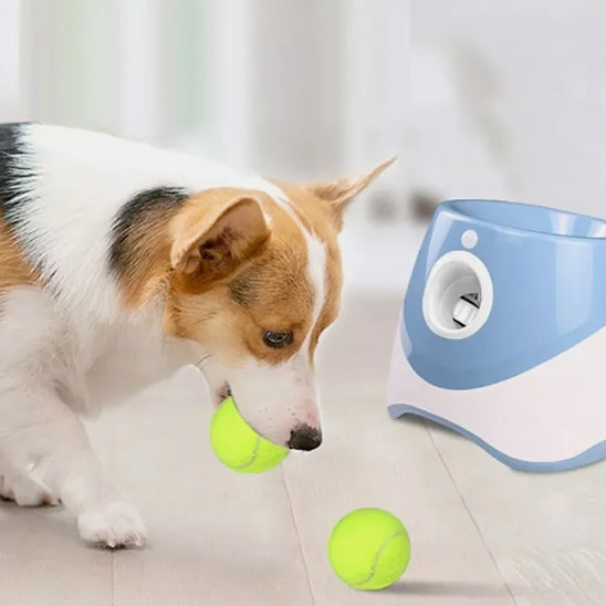 Lanceur de Balle pour chien- Automatique