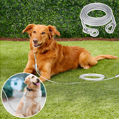 Longe pour chien-Premium wire