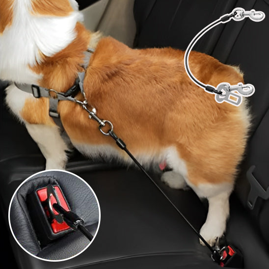 Laisse pour chien-Wire polyvalent
