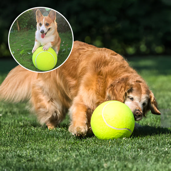 La Balle pour chien- GEANTE