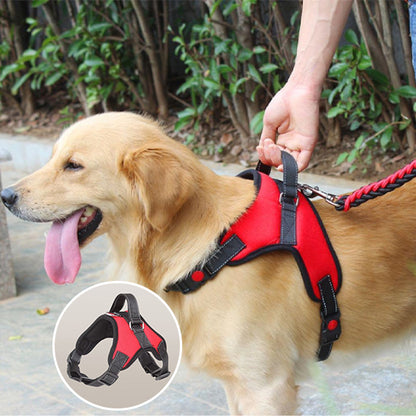 Harnais chien anti traction- Halter de base