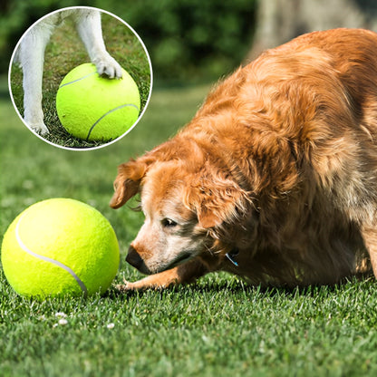 La Balle pour chien- GEANTE