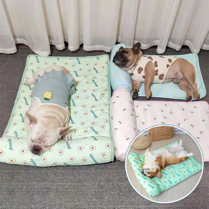Tapis rafraichissant chien-Cool bed