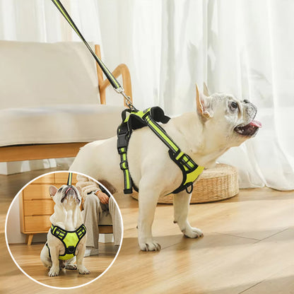 Harnais chien anti traction- True love