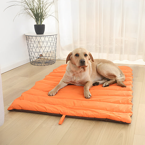 Lit de camp pour chien - Sac de couchage