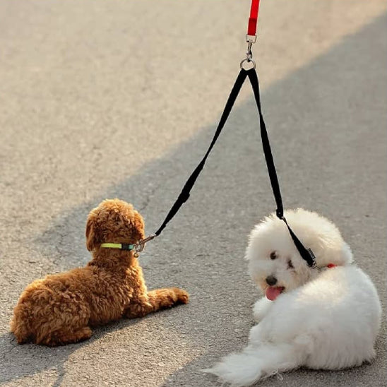 Laisse double pour chien-Rallonge double