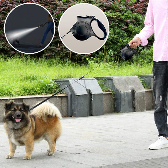 Laisse pour chien-Enroulable Lumineuse