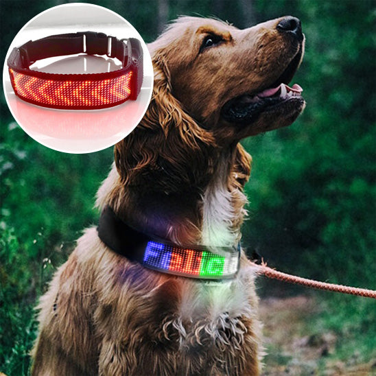 Collier lumineux chien- Bluetooth