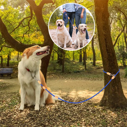 Laisse double pour chien | Sans enchevêtrement