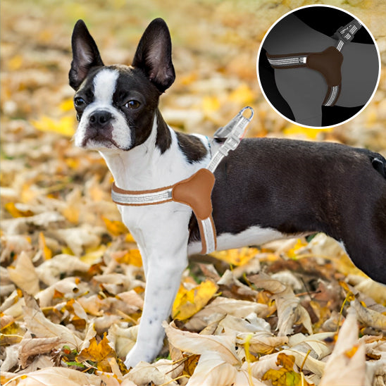 Harnais anti traction chien-Reflex Respirant