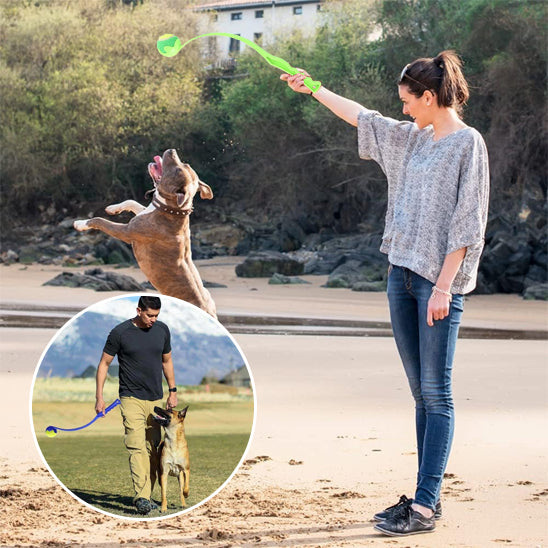 Lanceur de Balle pour chien- Perche flexible