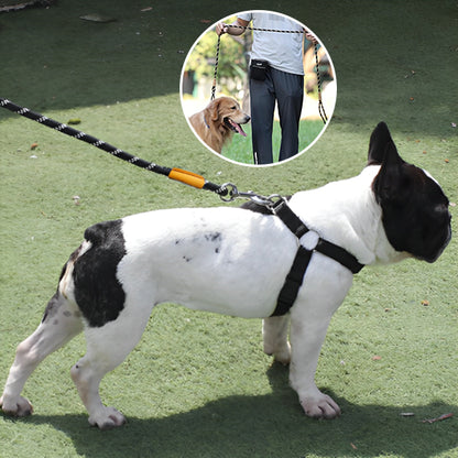 Longe pour chien- Corde entrainement