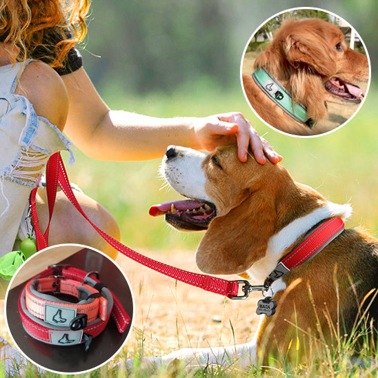 Collier pour chien-Réfléchissant Joytale