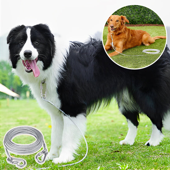 Longe pour chien-Premium wire