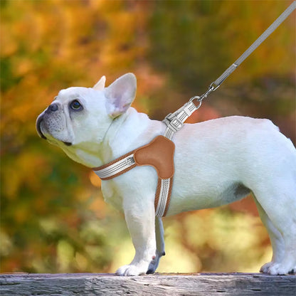 Harnais anti traction chien-Reflex Respirant