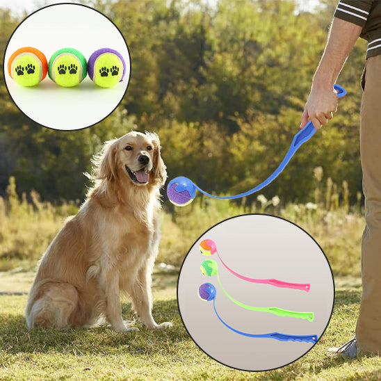 Lanceur de Balle pour chien- Perche flexible