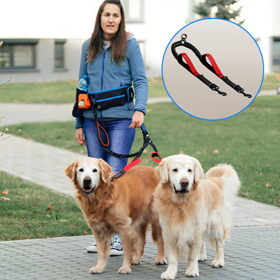 Laisse pour chien- Double rallonge anti-choc