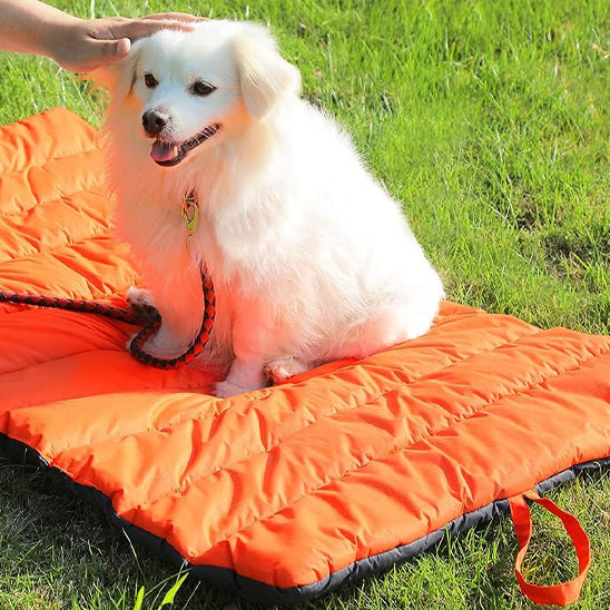 Lit de camp pour chien - Sac de couchage