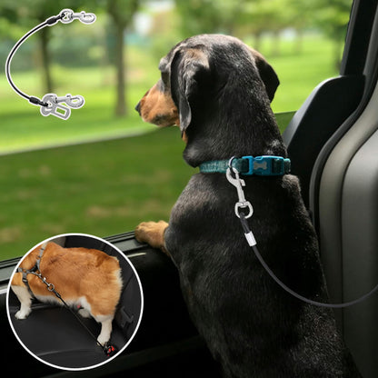 Laisse pour chien-Wire polyvalent