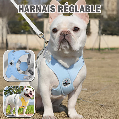Harnais chien anti traction - Gilet en croix