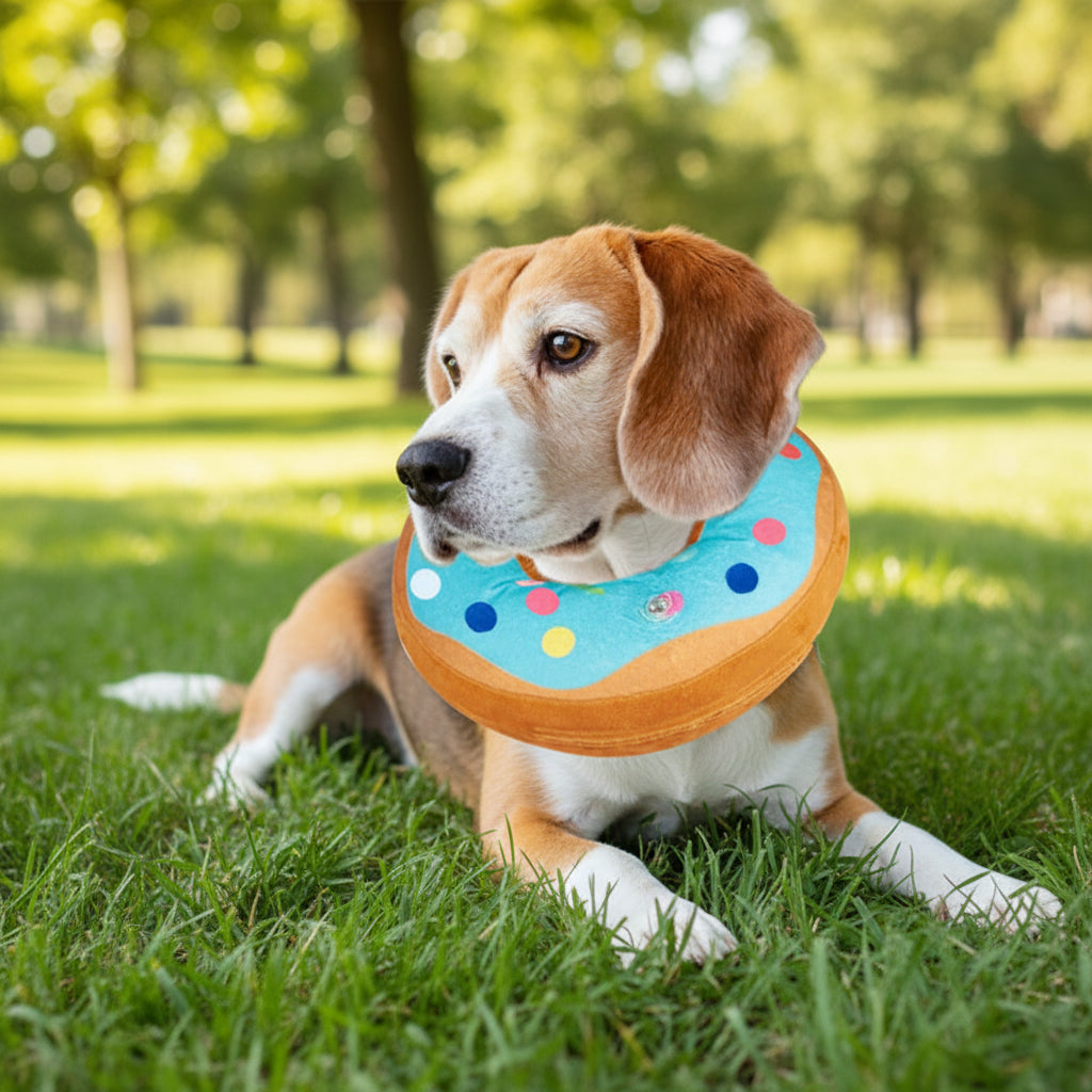 Collerette chien- Beignets protecteur