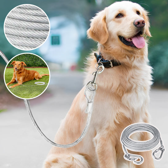 Longe pour chien-Premium wire