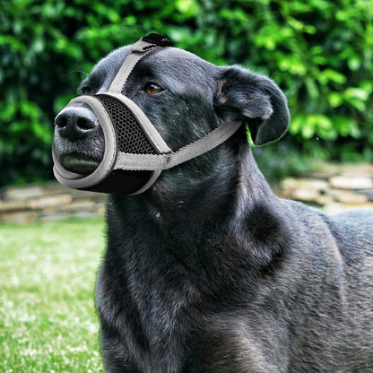 Muselière chien- Total Souplesse en maille* Gris