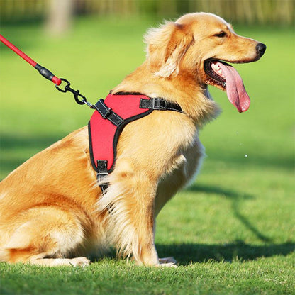 Harnais chien anti traction- Halter de base