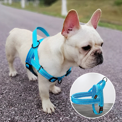 Harnais chien anti traction- No choking