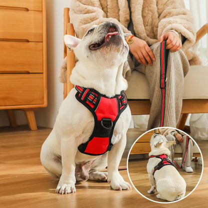 Harnais chien anti traction- True love