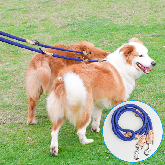 Laisse double pour chien | Sans enchevêtrement