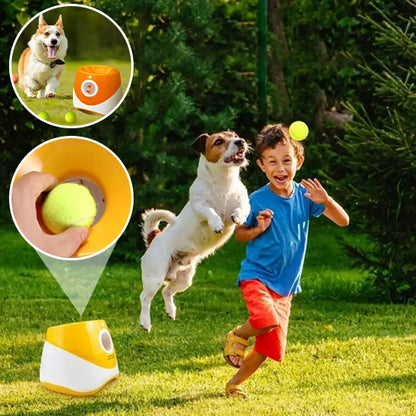 Lanceur de Balle pour chien- Automatique
