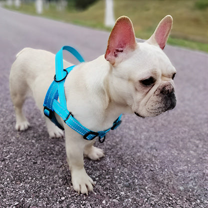 Harnais chien anti traction- No choking